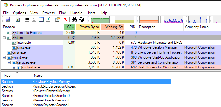 SystemProcess_PhysicalMemoryHandle